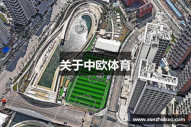 关于中欧体育